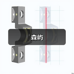 森屿（图2）