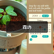 森屿（图4）