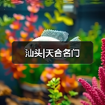 汕头|天合名门