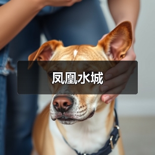 凤凰水城（图3）