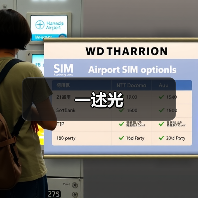 一述光（图3）