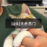 汕头|天合名门（图4）