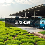 凤凰水城（图2）
