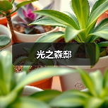 光之森邸（图4）