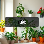 旧镜（图2）
