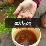 黑方块2号(图3) 黑方块2号(图3)