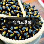 粤海云港城