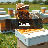 白云堡（图1）
