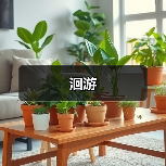 洄游(图4) 洄游(图4)