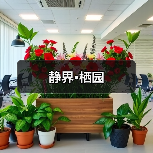 静界·栖园(图2) 静界·栖园(图2)