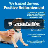 罗马家园威尼斯庭（图3）