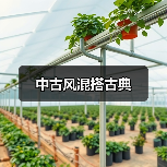 中古风混搭古典(图2) 中古风混搭古典(图2)