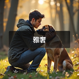 雅奢（图2）