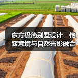 东方极简别墅设计，侘寂意境与自然光影融合（图3）