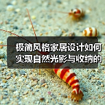 极简风格家居设计如何实现自然光影与收纳的完美结合?(图2) 极简风格家居设计如何实现自然光影与收纳的完美结合?(图2)