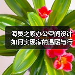 海员之家办公空间设计如何实现家的温暖与行业属性？（图4）