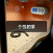 个性的家（图3）