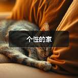 个性的家（图2）