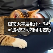 极简大平层设计：345㎡流动空间如何用岩板木饰面实现通透感
