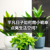 平凡日子如何用小确幸点亮生活空间?(图2) 平凡日子如何用小确幸点亮生活空间?(图2)