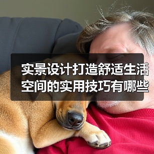 实景设计打造舒适生活空间的实用技巧有哪些?(图3) 实景设计打造舒适生活空间的实用技巧有哪些?(图3)