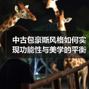 中古包豪斯风格如何实现功能性与美学的平衡？（图4）