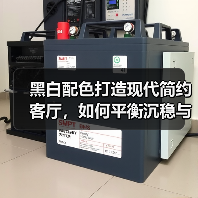 黑白配色打造现代简约客厅，如何平衡沉稳与清新？（图3）