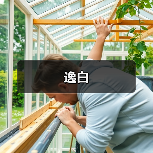 逸白（图3）