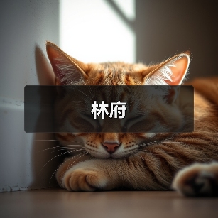 林府（图4）