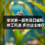 家装第一股东易日盛陷停工风波 多地业主维权难