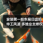 家装第一股东易日盛陷停工风波 多地业主维权难（图3）