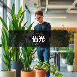 借光(图4) 借光(图4)