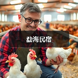 勐海民宿