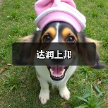 达润上邦