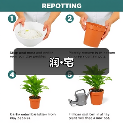润·宅（图1）
