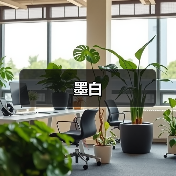 墨白（图1）
