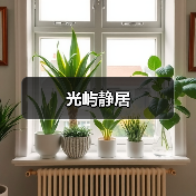 光屿静居