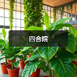 四合院（图1）