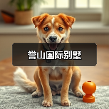 誉山国际别墅（图3）