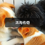 洱海传奇（图2）