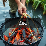 蔚见（图4）