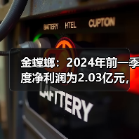 金螳螂:2024年前一季度净利润为2.03亿元,同比下降25.58%(图4) 金螳螂:2024年前一季度净利润为2.03亿元,同比下降25.58%(图4)