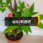 汕头|和通府(图3) 汕头|和通府(图3)