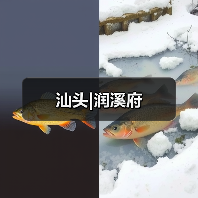 汕头|润溪府（图3）