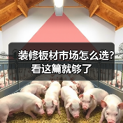 装修板材市场怎么选？看这篇就够了（图2）