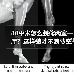 80平米怎么装修两室一厅？这样装才不浪费空间（图2）
