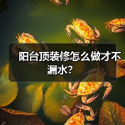 阳台顶装修怎么做才不漏水?(图3) 阳台顶装修怎么做才不漏水?(图3)