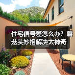 住宅信号差怎么办?蘑菇头妙招解决太神奇(图4) 住宅信号差怎么办?蘑菇头妙招解决太神奇(图4)