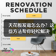 天花板发霉怎么办?这些方法帮你轻松解决(图2) 天花板发霉怎么办?这些方法帮你轻松解决(图2)