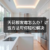 天花板发霉怎么办?这些方法帮你轻松解决(图3) 天花板发霉怎么办?这些方法帮你轻松解决(图3)